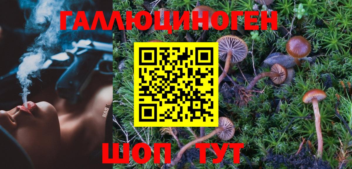 Псилоцибиновые грибы Psilocybine cubensis Новотроицк