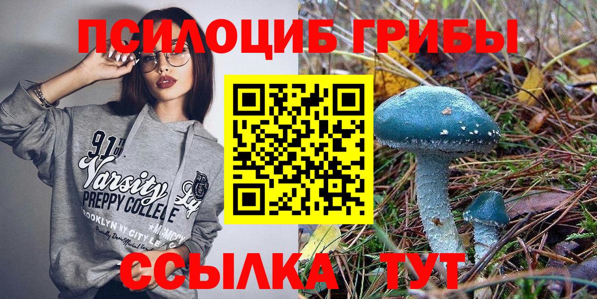 Новотроицк  Псилоцибиновые грибы GOLDEN TEACHER  наркошоп  Вход с VPN 